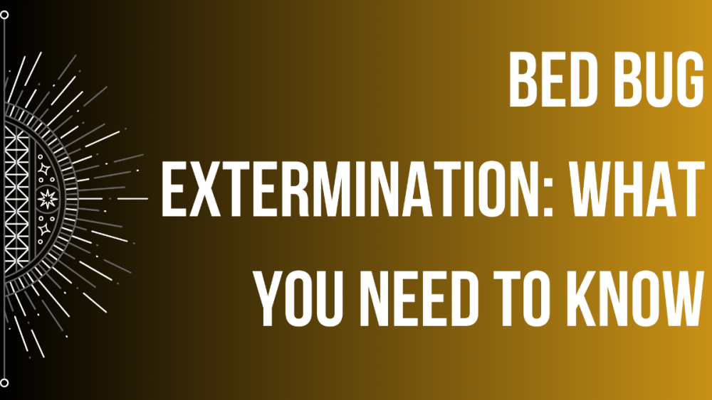 Bed Bug Extermination What You Need to Know.png